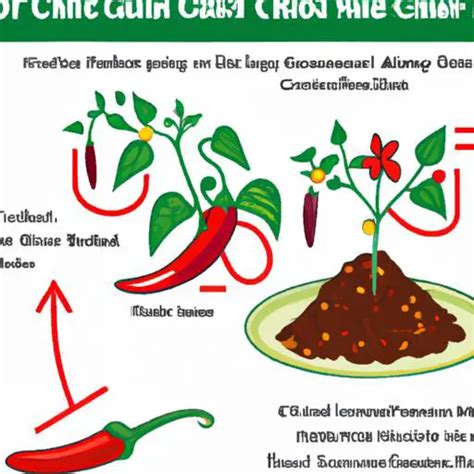 辣椒籽怎麼種|辣椒種植大全：頂級品種、栽培秘訣與照護指南